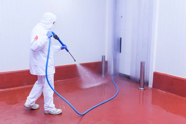 Best Warehouse Cleaning  in San Andreas, CA